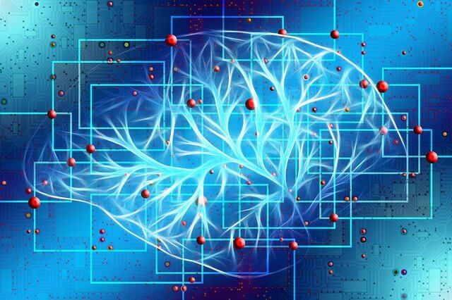 Dibujo esquemático de las conexiones cerebrales