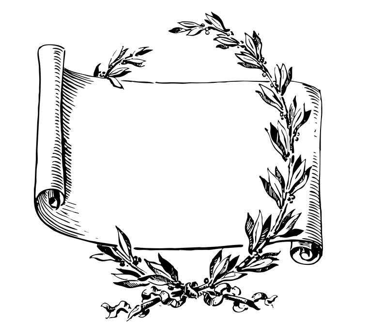 Dibujo de un pergamino sin nada escrito, rodeado de laurel