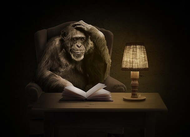 Chimpancé sentado en una butaca junto a una mesa en la que hay un libro abierto, para simbolizar la civilización de primates avanzada de la saga del planeta de los simios